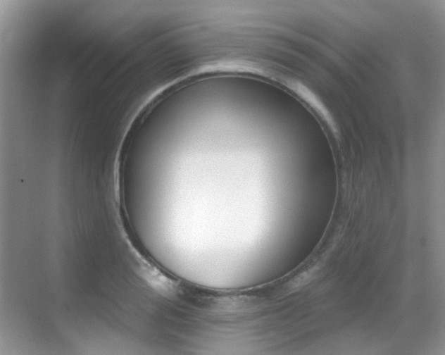 X0000069840988200605191201