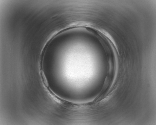 X0000069840997200605191201