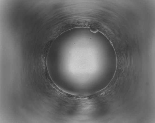 X0000069841013200605191200