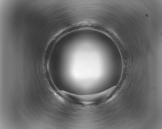X0000069841018200605191200