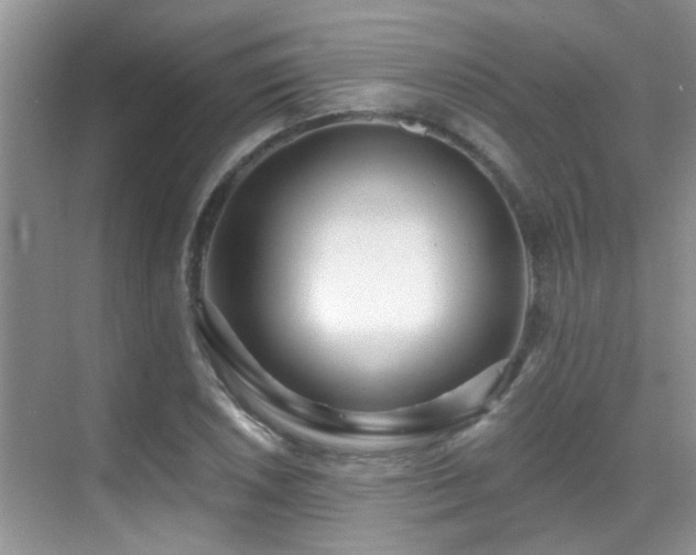 X0000069841026200605191200