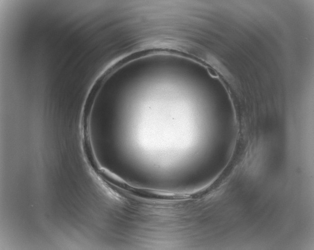 X0000069841028200605191200