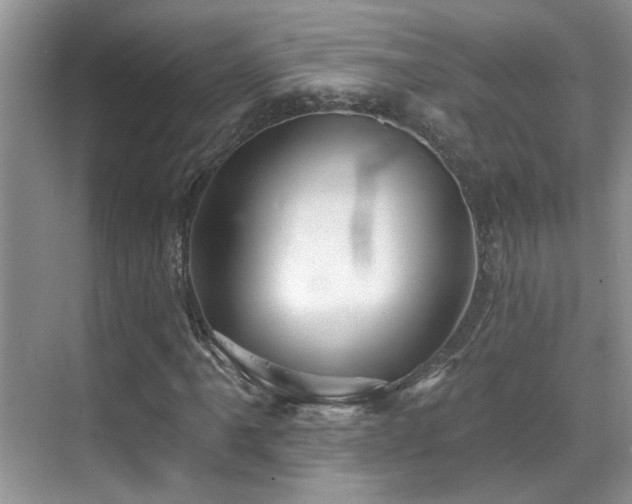 X0000069841061200605191200