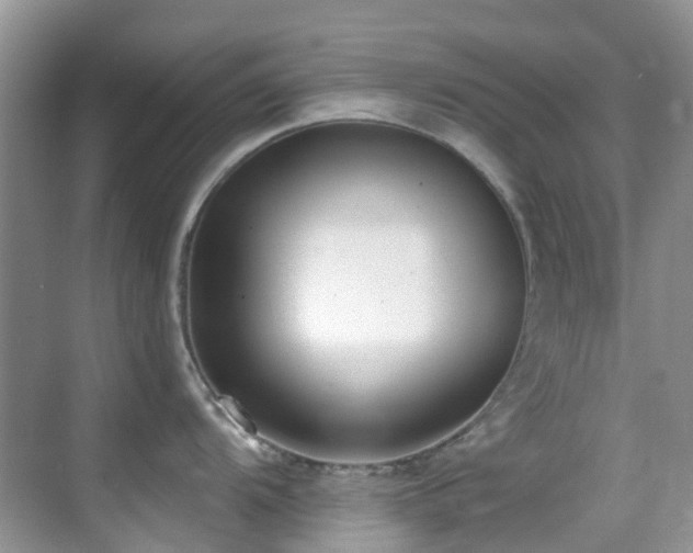 X0000069841104200605191159