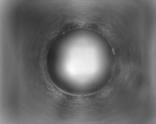 X0000069841105200605191158