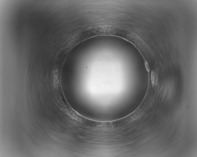 X0000069841107200605191158