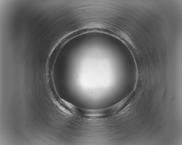 X0000069841116200605191158