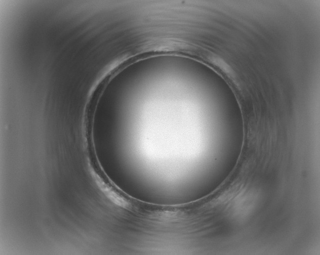 X0000069841122200605191158