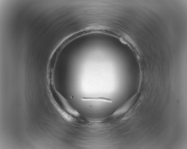 X0000069841124200605191158