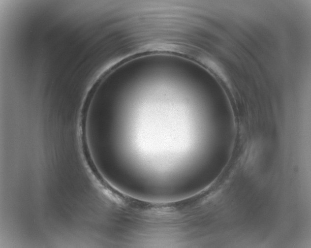 X0000069841133200605191159