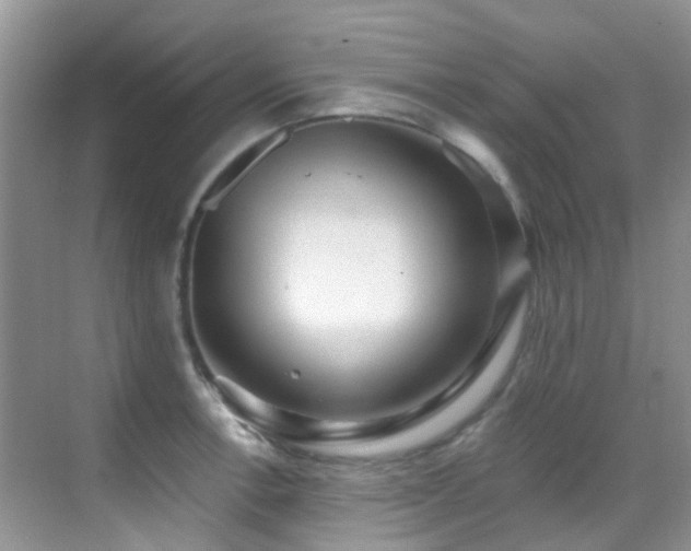X0000069841138200605191159