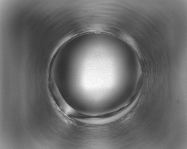 X0000069841146200605191159