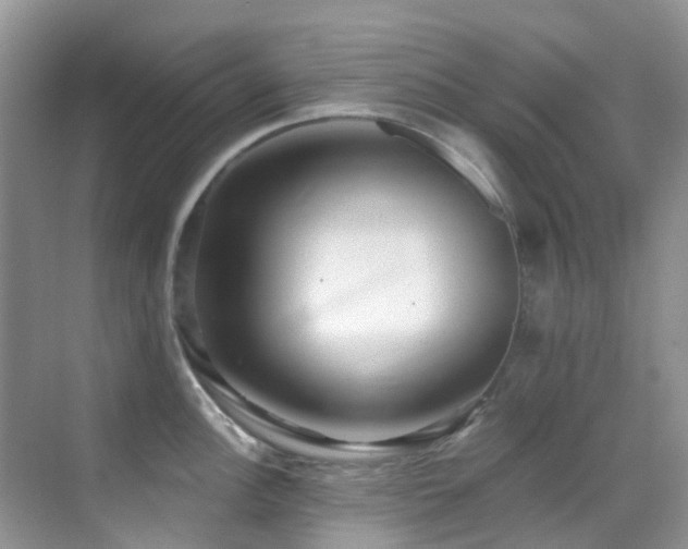 X0000069841148200605191159