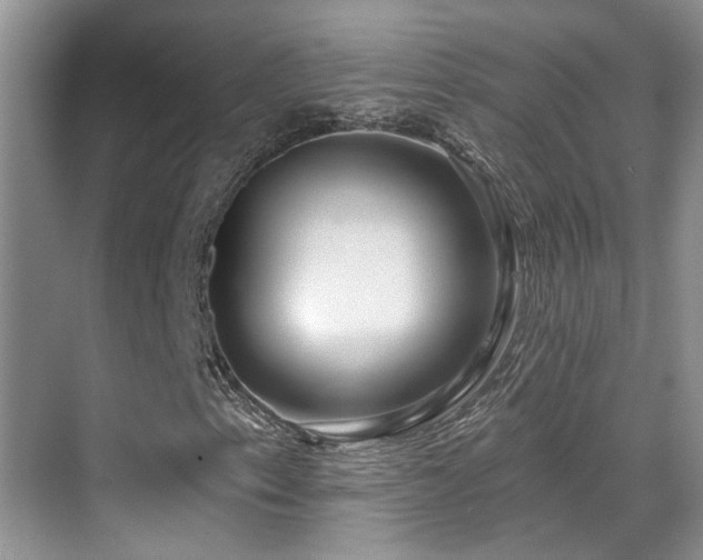 X0000069841153200605191158