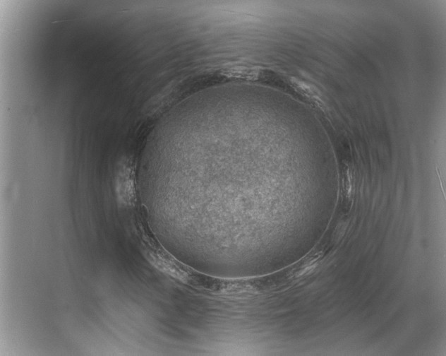 X0000069841154200605191158