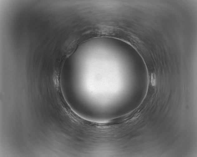 X0000069841155200605191158
