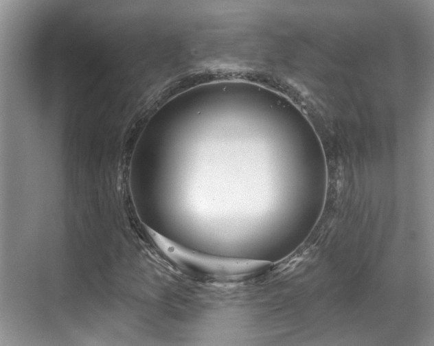 X0000069841157200605191158