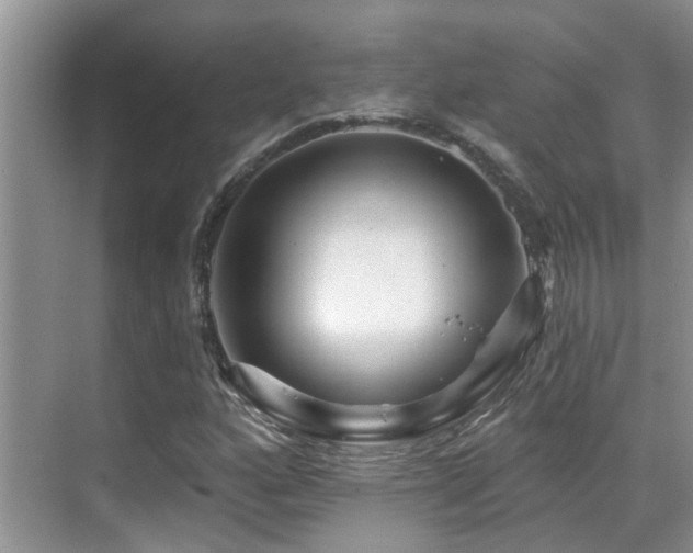 X0000069841160200605191158