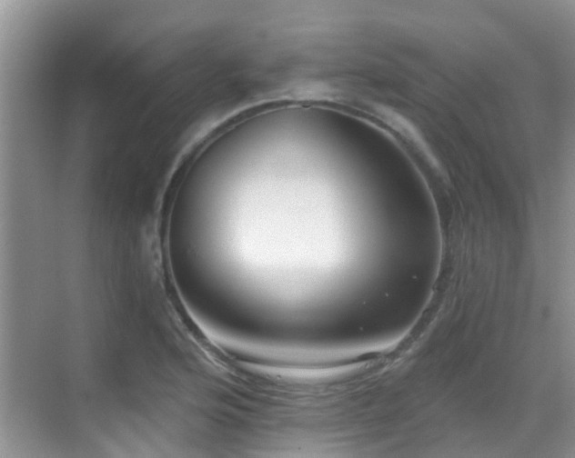 X0000069841176200605191158