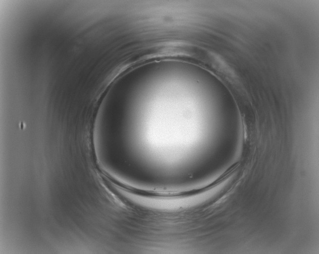 X0000069841177200605191158