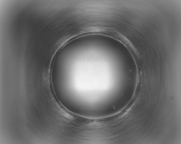 X0000069841178200605191158