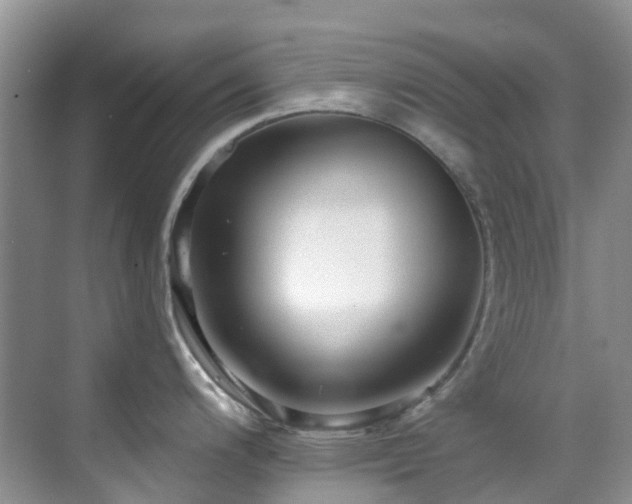 X0000069841200200605191157