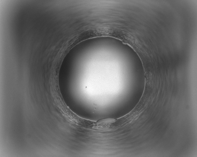 X0000069841201200605191157