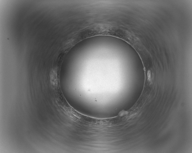 X0000069841203200605191157