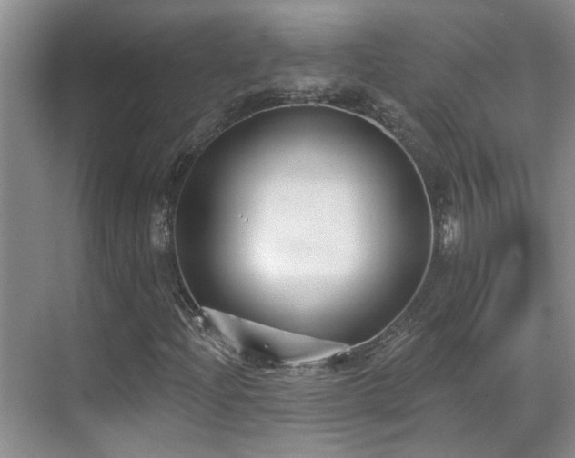 X0000069841204200605191157