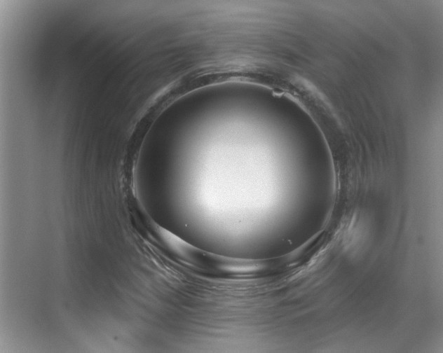 X0000069841210200605191157
