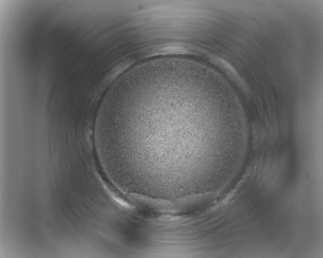 X0000069841225200605191157