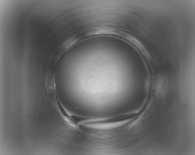 X0000069841241200605191157