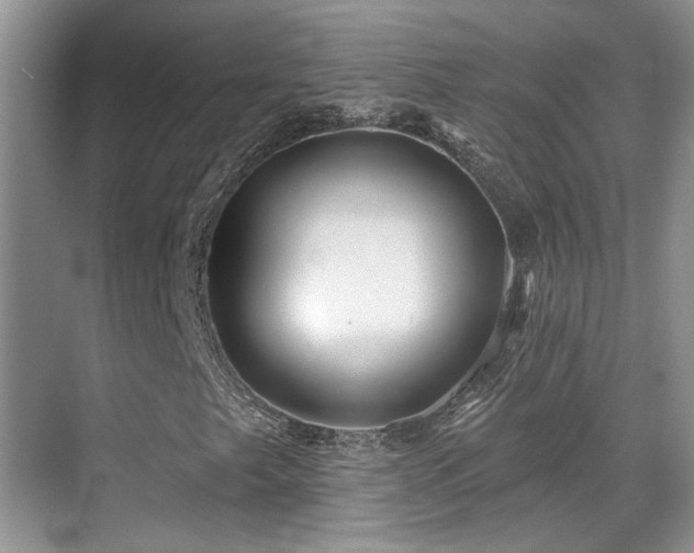 X0000069841249200605191157