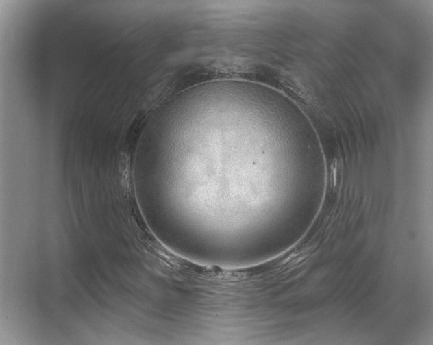 X0000069841251200605191156