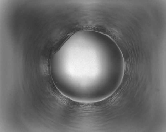 X0000069841252200605191156
