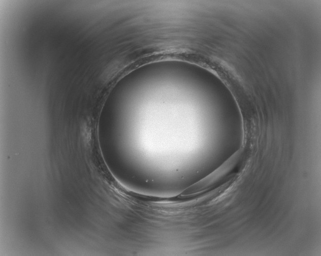 X0000069841257200605191156
