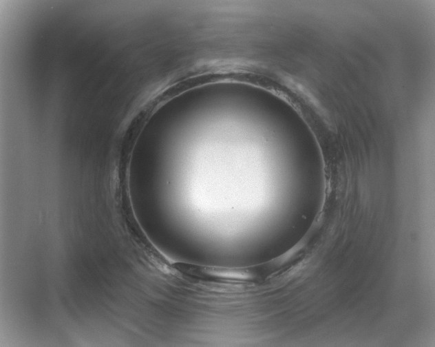 X0000069841261200605191156