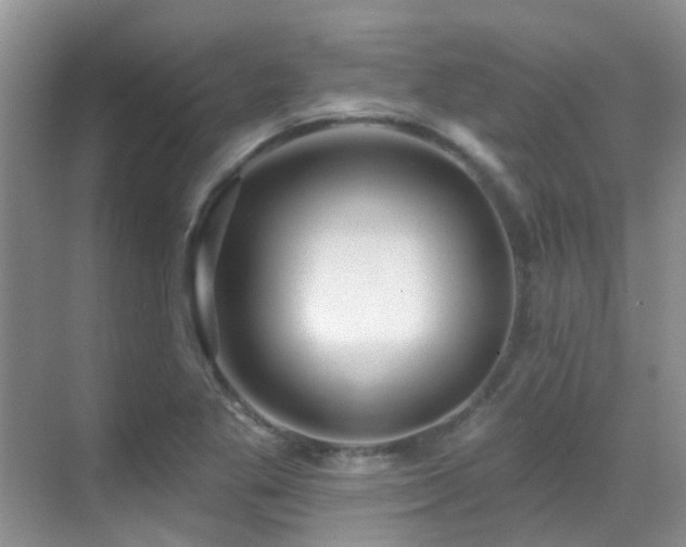 X0000069841269200605191156