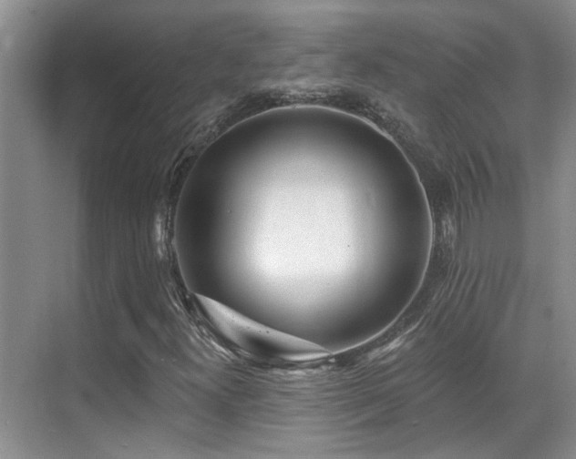 X0000069841300200605191155