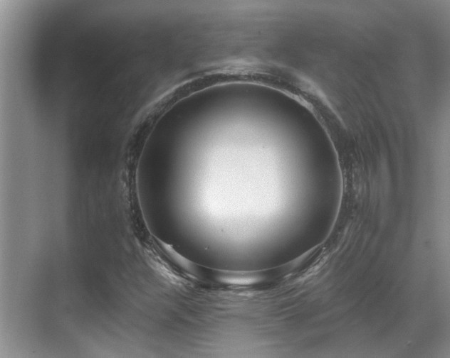 X0000069841304200605191155