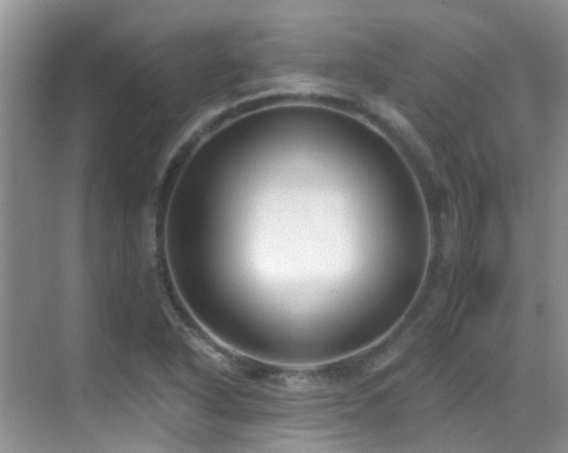 X0000069841318200605191155