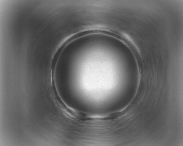X0000069841320200605191155