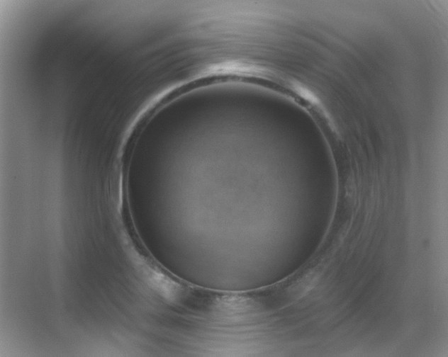X0000069841323200605191155