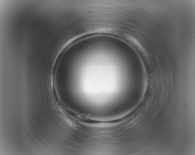 X0000069841324200605191155