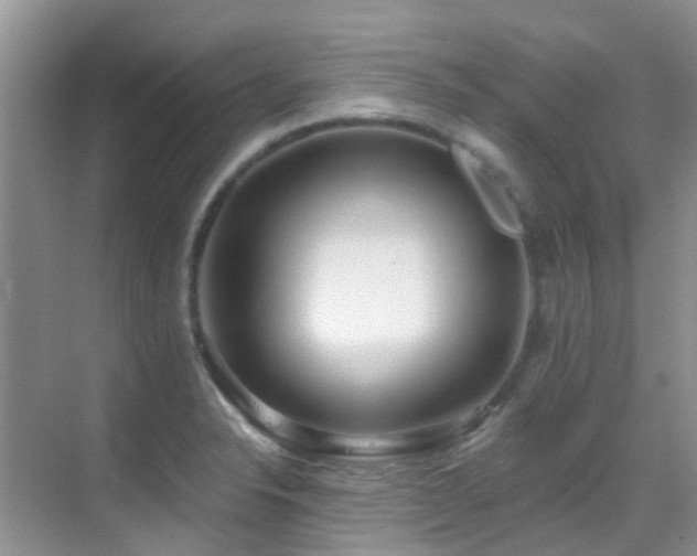 X0000069841326200605191155