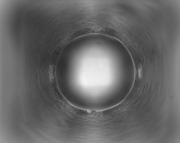 X0000069841347200605191155