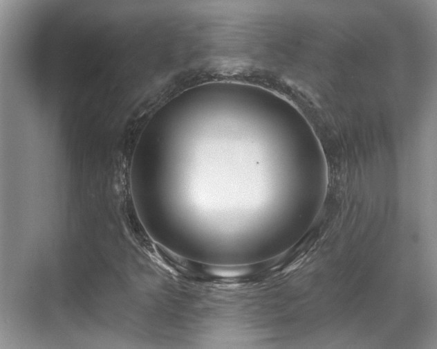X0000069841349200605191155