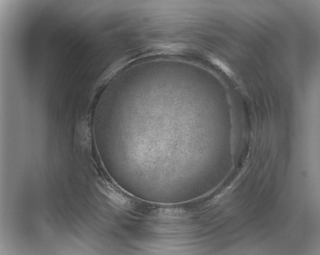 X0000069841354200605191155