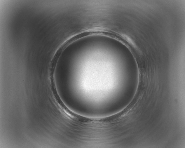 X0000069841356200605191155