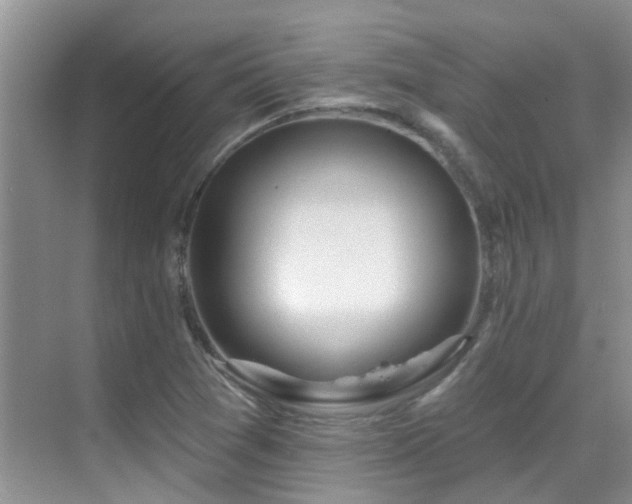 X0000069841361200605191155